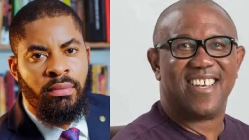 ADEYANJU ASK PETER OBI TO HELP